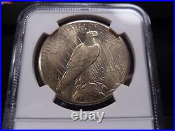 1928 MS64 Peace Dollar NGC Certified White/Faint Gold Tone