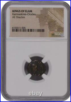 (4) Certified Coins Set Kings of Elam Drachm in NGC Slab (Book of Genesis Coin)