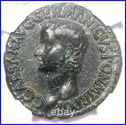 Caligula AE As Copper Roman Coin 37-41 AD Certified NGC XF (EF)