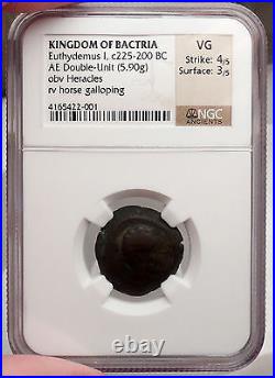 EUTHYDEMOS I 225BC Kingdom of Bactria Ancient Greek NGC Certified Coin i44324
