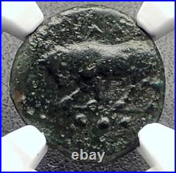 GELA in SICILY Genuine Ancient 420BC Greek Coin BULL WHEEL NGC Certified i72675