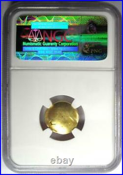 Gold Gaul Ambiani AV Stater Gold Horse Coin 100 BC Certified NGC XF (EF)
