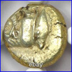 Greek Mysia Cyzicus EL Hecte Coin 500-450 BC (Kyzikos) Certified NGC Choice VF