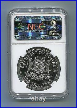 NGC Certified MS 66 Somalia 2000 Nelson Mandela 250 Shillings Rare Coin